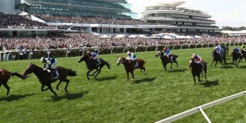 Bắt Trend Cá Độ Cùng Đua Ngựa Kubet Cùng Cơ Hội Trúng Thưởng Khổng Lồ