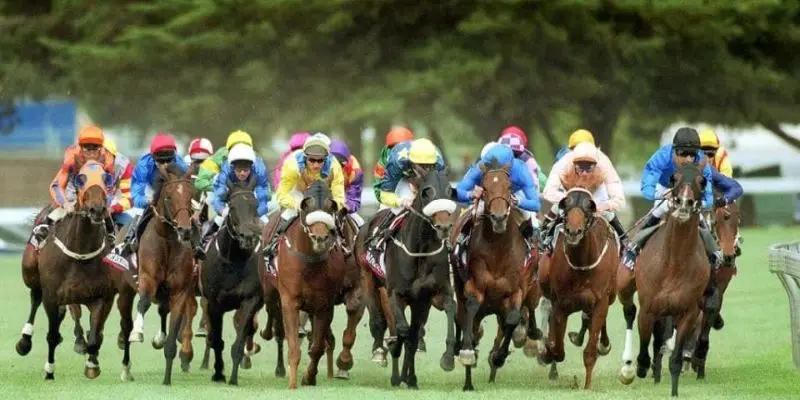 Bắt Trend Cá Độ Cùng Đua Ngựa Kubet Cùng Cơ Hội Trúng Thưởng Khổng Lồ